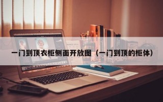 一门到顶衣柜侧面开放图（一门到顶的柜体）