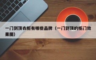 一门到顶衣柜有哪些品牌（一门到顶的柜门效果图）